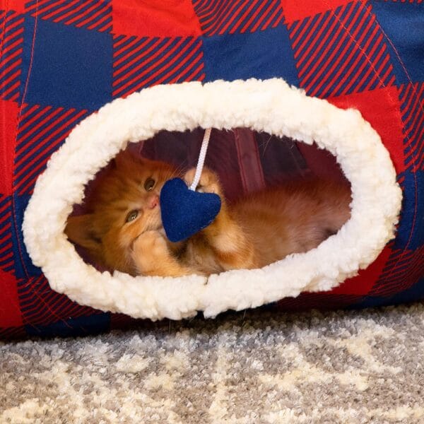 Plaid Tunnel Bed 3