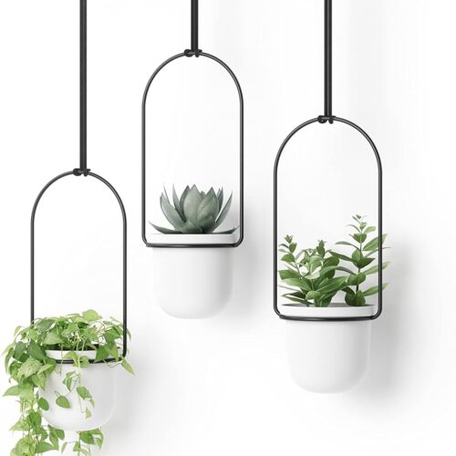 1 Umbra Triflora Hanging Planter for Window, Indoor Herb Garden, White/Black, Triple