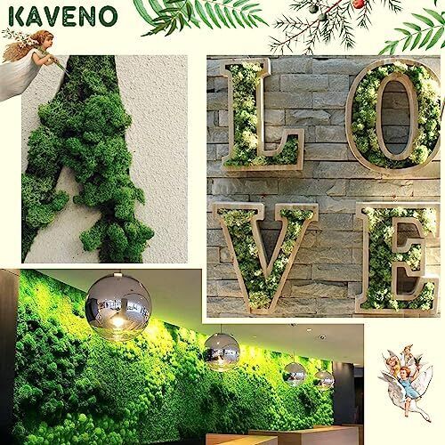 Moss Preserved, Green Moss for Fairy Gardens