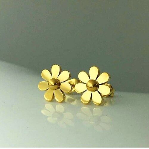 s-l1600 - 2023-11-26T111044.116 Daisy Flower Silver Stainless Steel Titanium 10mm Stud Earrings Gift
