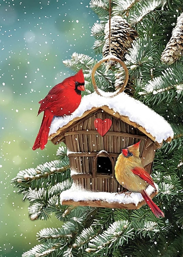 Winter Diamond Painting Kits,Birds Diamond Art Kit for Adults Full Round 2