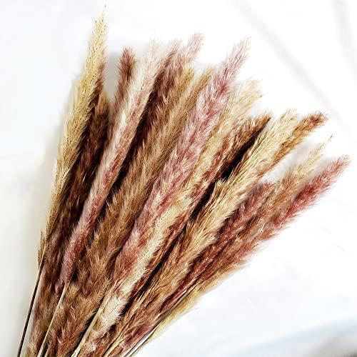 s-l960 Natural Dried Pampas Grass Bonquet 30 Pcs, Boho Home Decor Bouquet, Dried