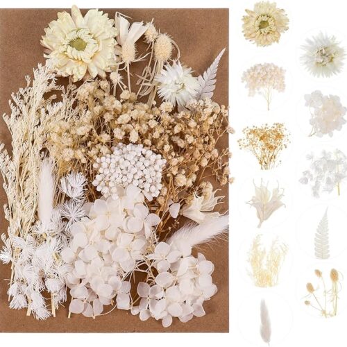 AhlsenL Real Dried Flowers, Natural Dried Flowers Mixed, Hydrangeas, Daisies, Natural Pressed Flowers White Decorative Dried Flowers for DIY Candle Resin Jewelry Nail Pendant Crafts Making(Beige)