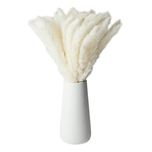 40 Pack Dried White Pampas Grass with Ceramic Vase for Home Decor, 16 In