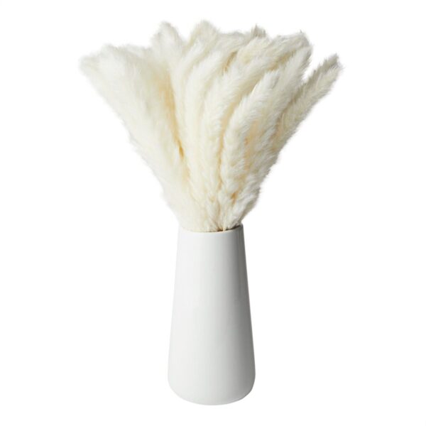 40 Pack Dried White Pampas Grass with Ceramic Vase for Home Decor, 16 In 1