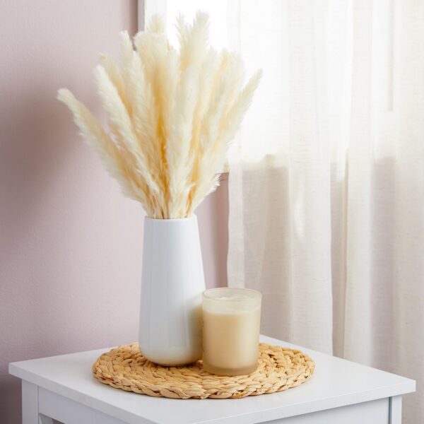 40 Pack Dried White Pampas Grass with Ceramic Vase for Home Decor, 16 In 3