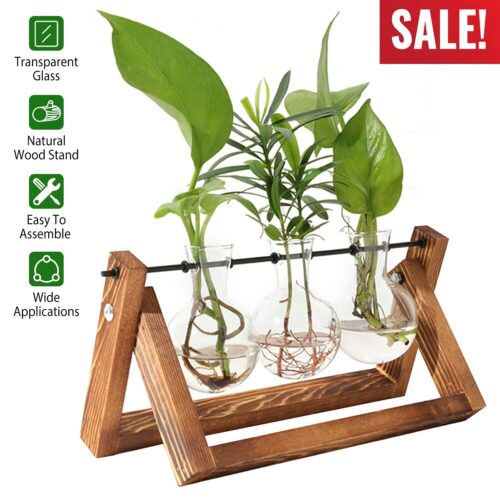 s-l1600 (3) Desktop Glass Planter Bulb Plant Terrarium with Wooden Stand Air Planter Swivel