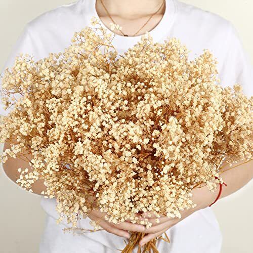s-l500 7000+ Dried Flowers Baby Breath Flowers Dried White Flowers 15 Inch Natural G...