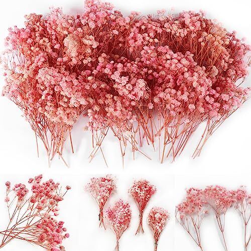 65Pcs Mini Pink Dried Baby's Breath Flowers 4000+ Natural Gypsophila Dry Flow...