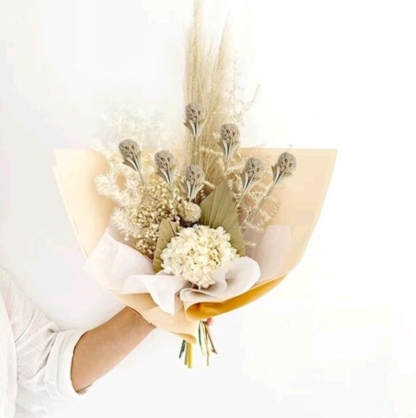 XHXSTORE 36 Balls Natural Dried Flowers Bouquet - Craspedia Billy Button Flowers Stems, Christmas Dried Plants, Dried White Flower for Dried Floral, Xmas Wedding Table Vase, Winter Home Decor (17")" 4