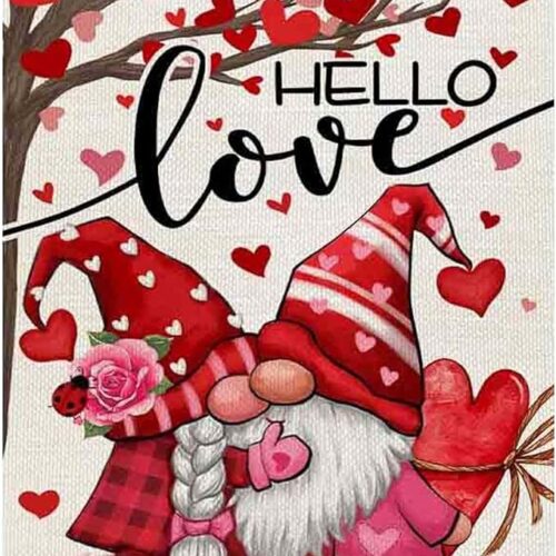 71+0gjub-DL._AC_SX679_ ZHUDENGXJL Valentine's Day Diamond Painting Kits for Adults. Love Gnome Diamond Art kit for Adults 5D Full Drill Round Gem Art Dimond Picture Home Wall Decor Gift 12x16inch