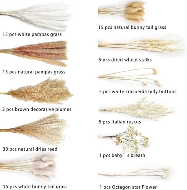 Total 104 pcs /11 Various Dried Pampas Grass Décor, White Pompous Grass, Bunny Tails Dried Flowers Reed Grass, 17 inch Pompass Grass for Flower Arrangements Boho Wedding Home Décor (Ivory White) 3