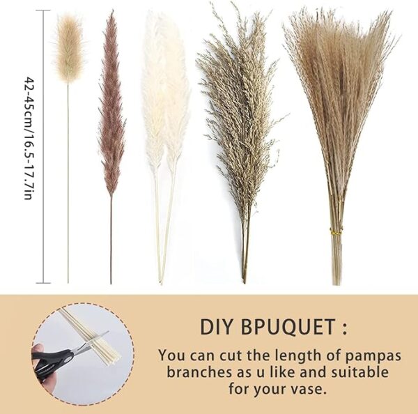 Total 104 pcs /11 Various Dried Pampas Grass Décor, White Pompous Grass, Bunny Tails Dried Flowers Reed Grass, 17 inch Pompass Grass for Flower Arrangements Boho Wedding Home Décor (Ivory White) 2