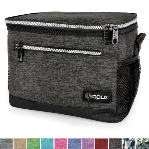 Insulated Lunch Bag Leakproof Thermal Bento Cooler Tote for Women and Men Kids
