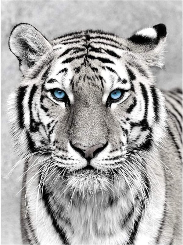 Tiger Diamond Painting Kits for Adults Kids,5D Diamond Painting Tiger 1