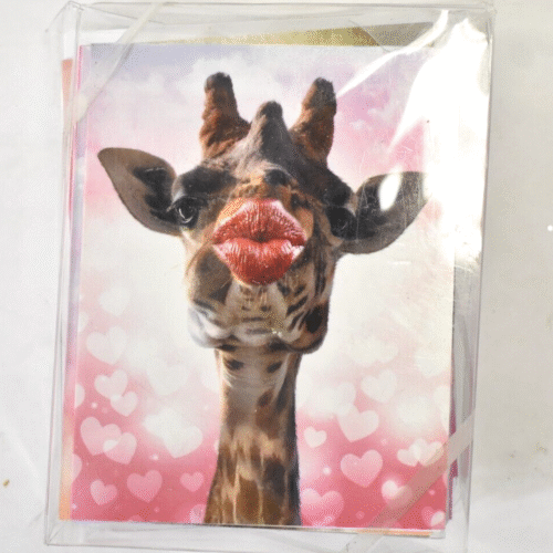 s-l1600 - 2024-01-10T114100.232 The Best Card Company 20 Assorted Valentines Day Cards 10 Designs Wild Kisses