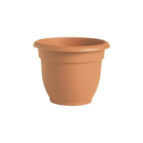 s-l1600 - 2024-01-13T100656.008 Bloem 6" Ariana Clay Planter