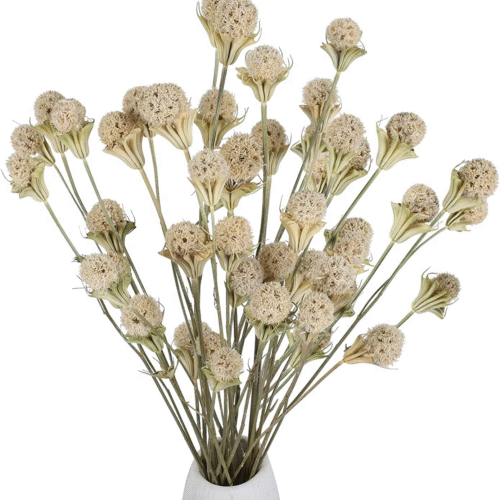 s-l1600 (6) 40 Balls Natural Dried Flowers Bouquet Craspedia Billy Button Flowers Stems Chri