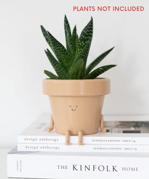 Cute Face Plastic Indoor Plant Pot - 3.5 Inch Succulent/Cactus Planter | Unique Decorative Novelty Gift for Plant Lovers 1