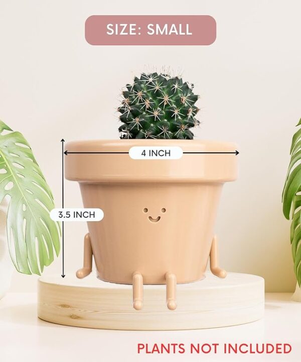 Cute Face Plastic Indoor Plant Pot - 3.5 Inch Succulent/Cactus Planter | Unique Decorative Novelty Gift for Plant Lovers 3