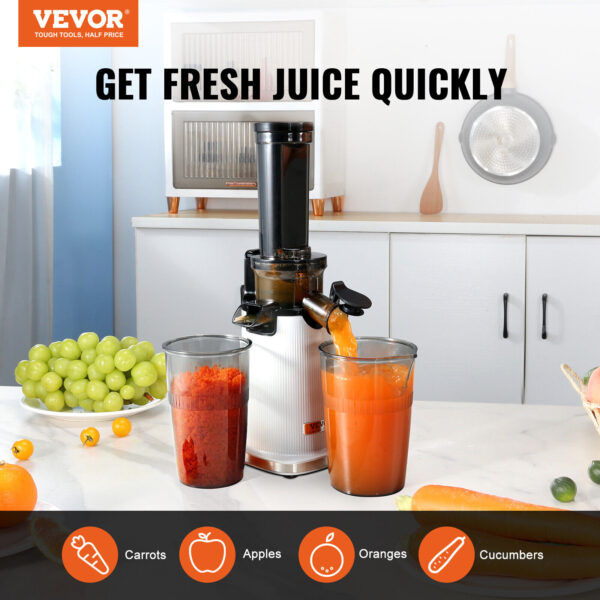 VEVOR Masticating Slow Juicer Machine Electric Cold Press Squeezer Vegetable 2