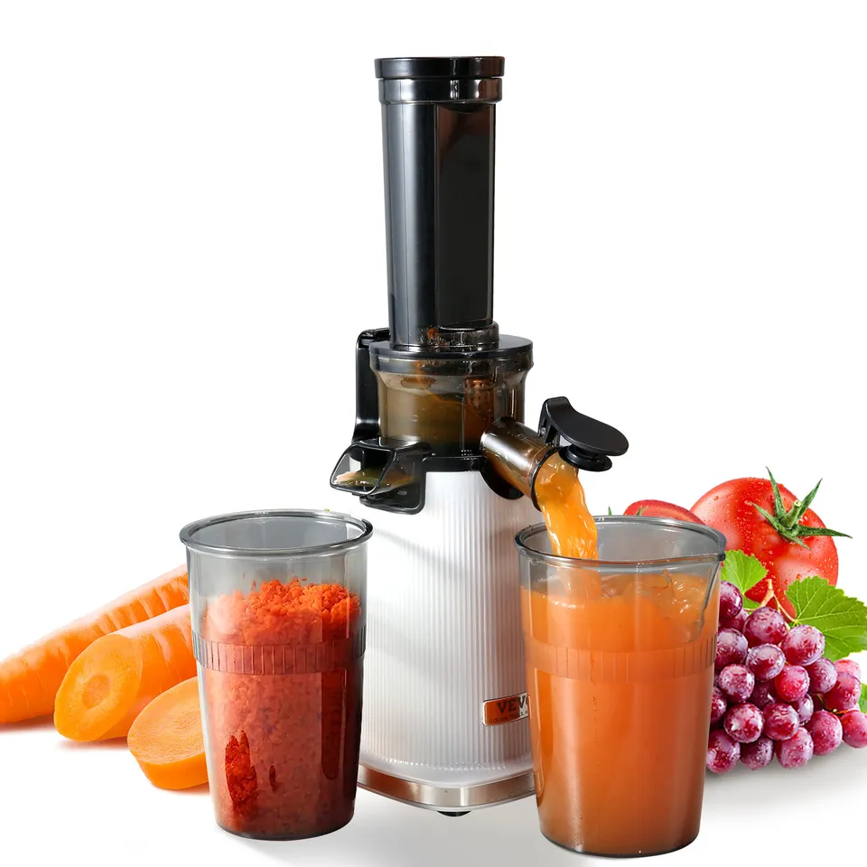 VEVOR Masticating Slow Juicer Machine Electric Cold Press Squeezer Vegetable