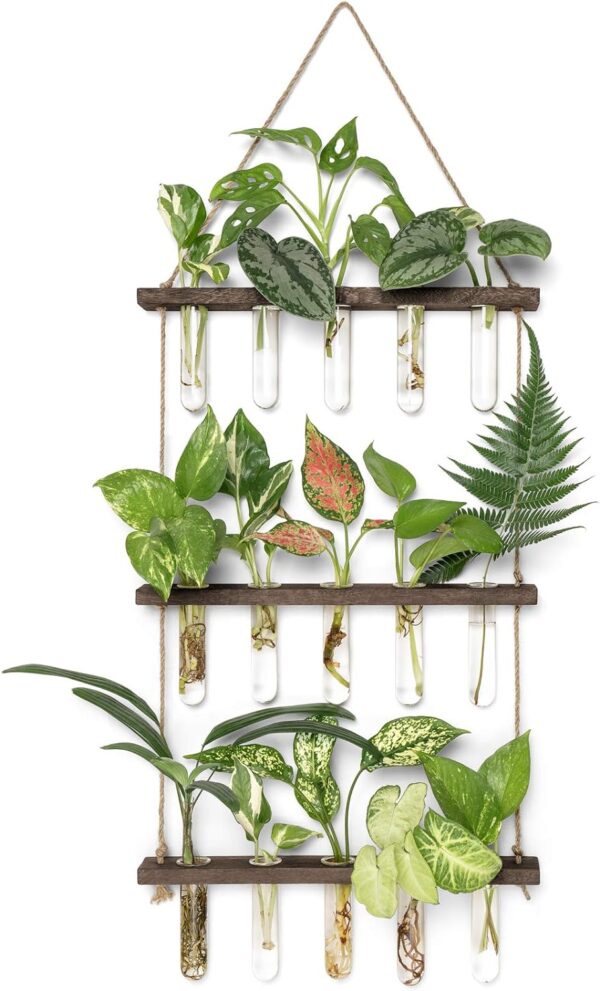Mkono Plant Propagation Tubes - 3 Tiered Wall Hanging Terrarium with Wooden Stand, Mini Test Tube Flower Vase Glass Planter Stations for Hydroponic Cuttings, Home Garden Office Decor, Plant Lover Gift 1