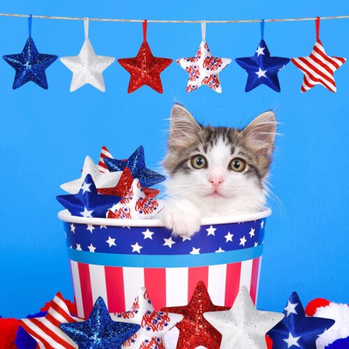 2 24 Pieces Red, White, and Blue Ball Decoration for Independence Day (Star Style) Patriotic Decoration Hanging Ornaments for Memorial Day, Fourth of July, and Independence Day