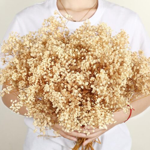 Dried Baby's Breath Flowers Bouquet White Dry Flowers Bulk Natural Gypsophila Branches
