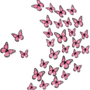 Fake Butterflies Realistic Butterfly Crafts Artificial Butterfly Wall Decor