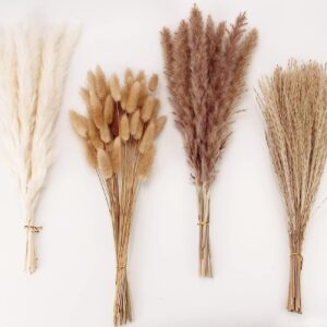 Pampas Grass Contains Bunny Tails Dried Flowers
