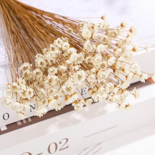 Mini Chamomile Bouquet for Wedding Floral Arrangements Home Decorations