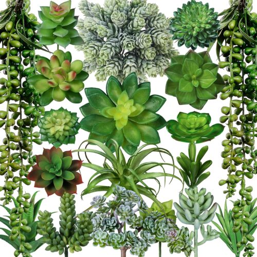 81sV01G0nnL._AC_SL1500_ 19 Pcs Assorted Artificial Succulents Plants Unpotted Small Green Aloe Hops Cactus String of Pearls
