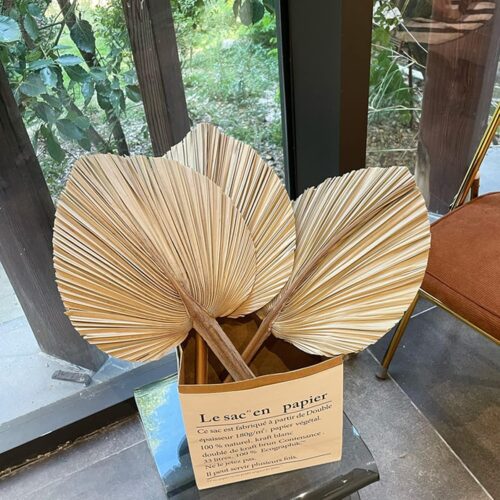 Good Quality Dried Palm Leaves, Dried Pampas Grass Decor
