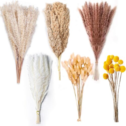 1 Fluffy Pampas Grass for Home Elegance