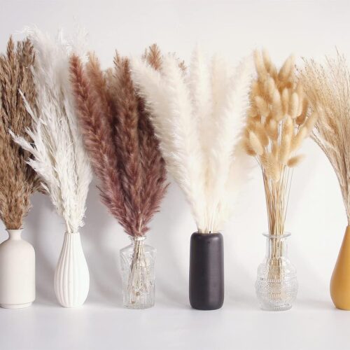1 New Modern Pampas Grass Timeless Natural Decor