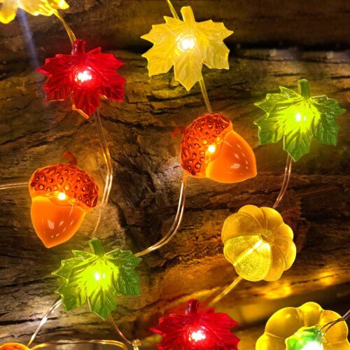 1 Pumpkin Lights Fall Thanksgiving Decorations