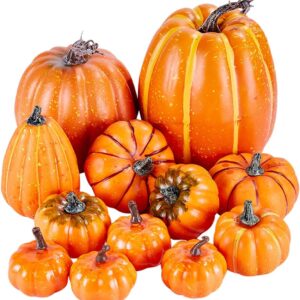 Pumpkins for Fall Thanksgiving Halloween Seasonal