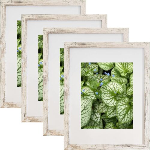 1 Picture Frames Pack of 4 Display Pictures 8x10