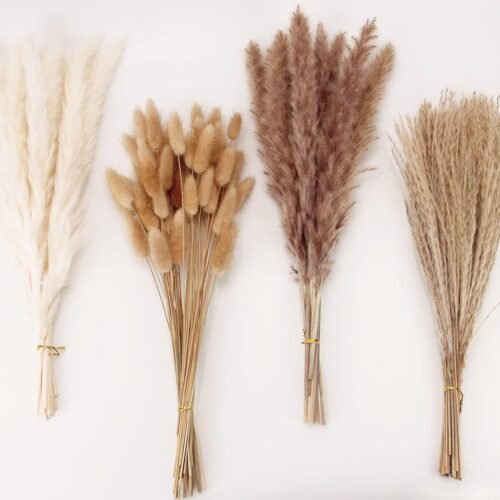 1 Dried Flower Pampas Grass Decor 100 PCS Pampas