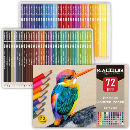 1 Astonishing Art with Premium Colored Pencils for Adult