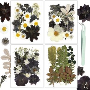 Dry Leaves Kit Best and Affordable Black Flowers