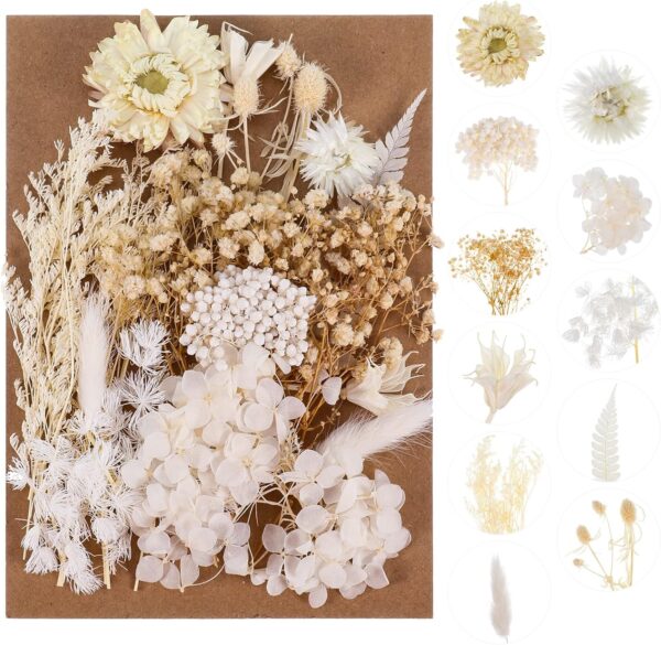 Check this Amazing Real Dried Flower Natural for Home 1