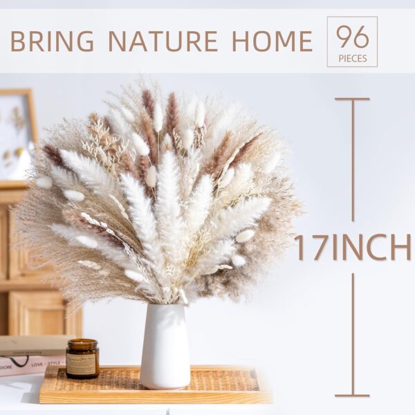 Natural Dried Pampas Grass Boho Home Decor 5