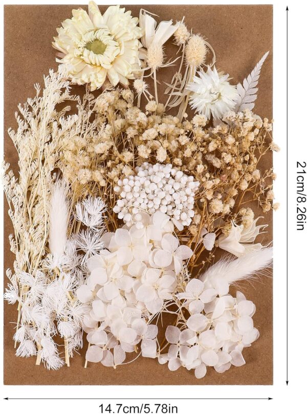 Check this Amazing Real Dried Flower Natural for Home 4