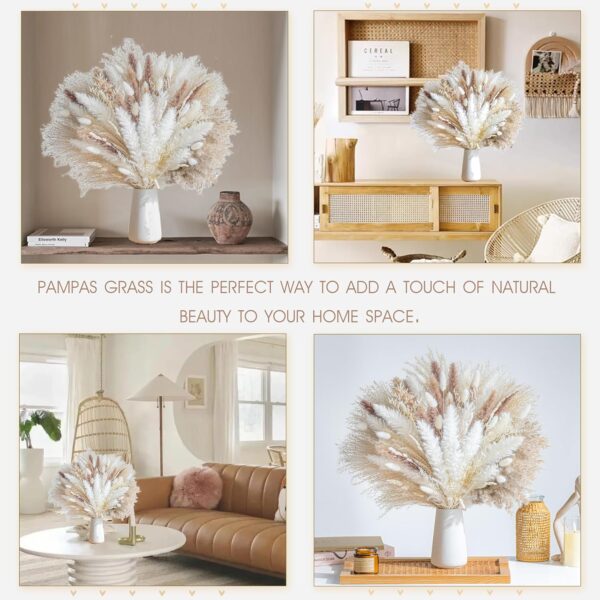 Natural Dried Pampas Grass Boho Home Decor 4