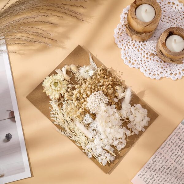 Check this Amazing Real Dried Flower Natural for Home 3