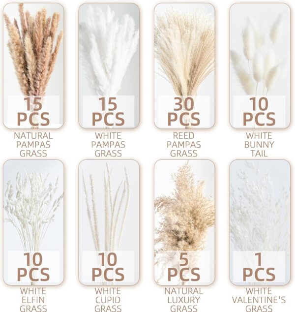 Natural Dried Pampas Grass Boho Home Decor 3