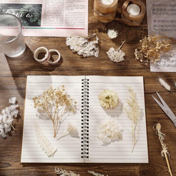 Check this Amazing Real Dried Flower Natural for Home 2