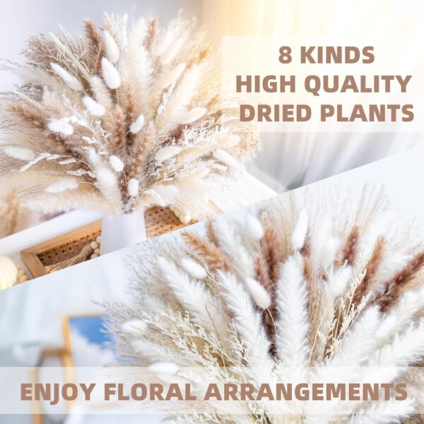 Natural Dried Pampas Grass Boho Home Decor 2